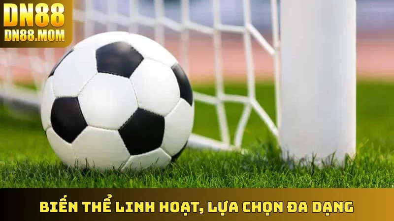 Biến thể linh hoạt, lựa chọn đa dạng