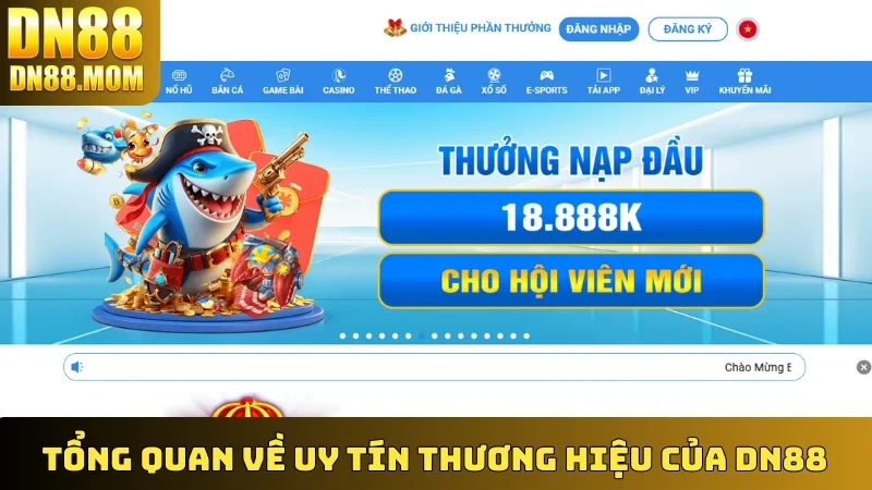 Tổng quan về uy tín thương hiệu của DN88